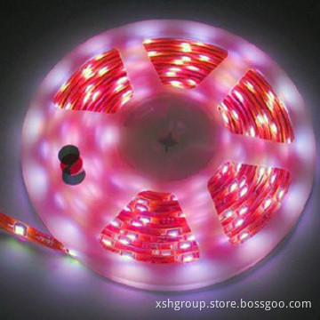 high brightness  SMD3528 24 volt led strip